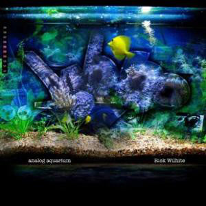 Rick Wilhite : Analog Aquarium (2x12", Album + CD, Album)