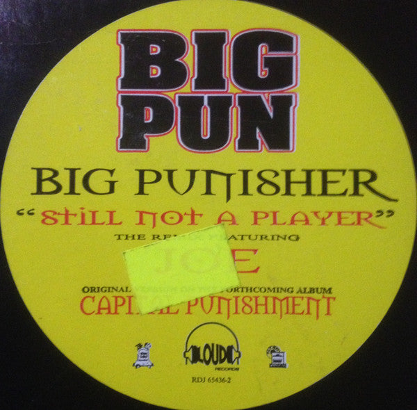 Big Punisher : Still Not A Player (12", Single, Promo)