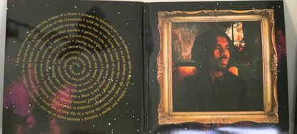Flying Lotus : Flamagra (2xLP, Album, Dlx, Ltd, Cle)