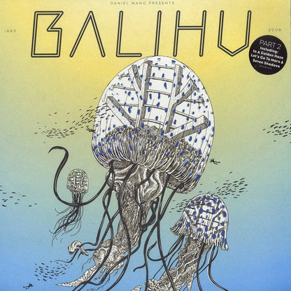 Daniel Wang : Best Of Balihu 1993 - 2008 Pt. 2 (2xLP, Comp, Ltd, RM)