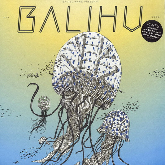 Daniel Wang : Best Of Balihu 1993 - 2008 Pt. 2 (2xLP, Comp, Ltd, RM)