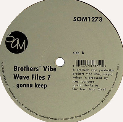 Brothers' Vibe : Wave Files 7 (12", Pur)
