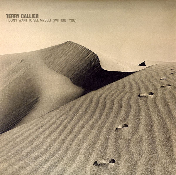 Terry Callier : I Don't Want To See Myself (Without You) (2x12")