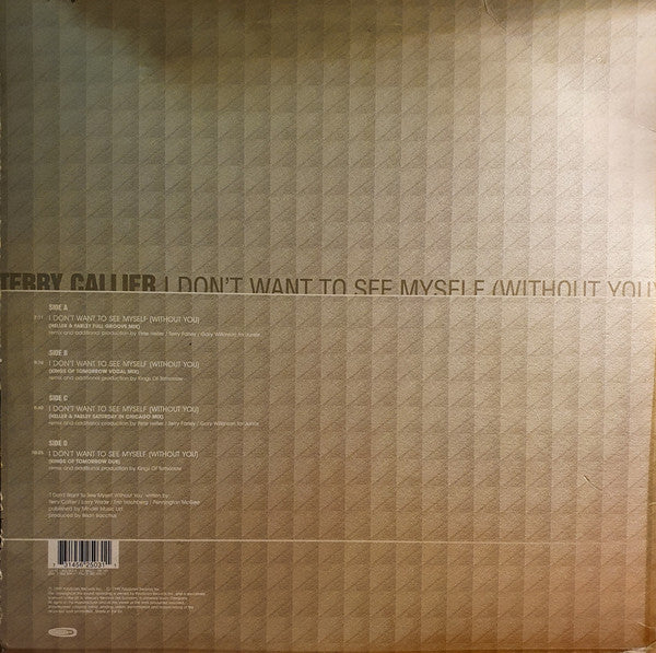 Terry Callier : I Don't Want To See Myself (Without You) (2x12")