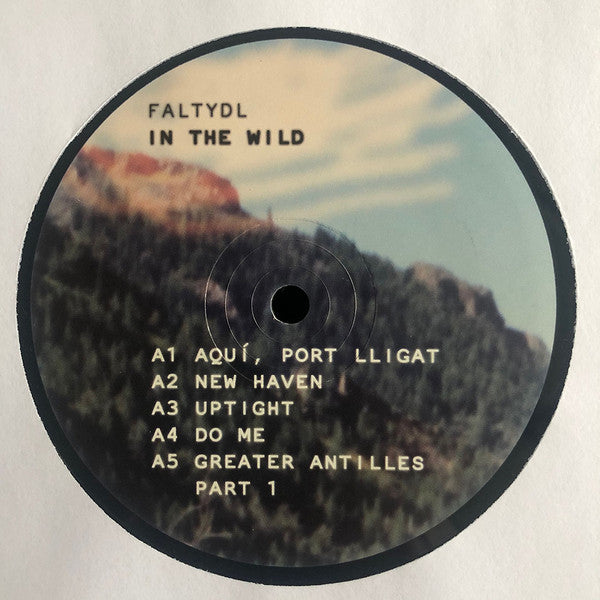 FaltyDL : In The Wild (2xLP, Album)