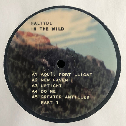 FaltyDL : In The Wild (2xLP, Album)