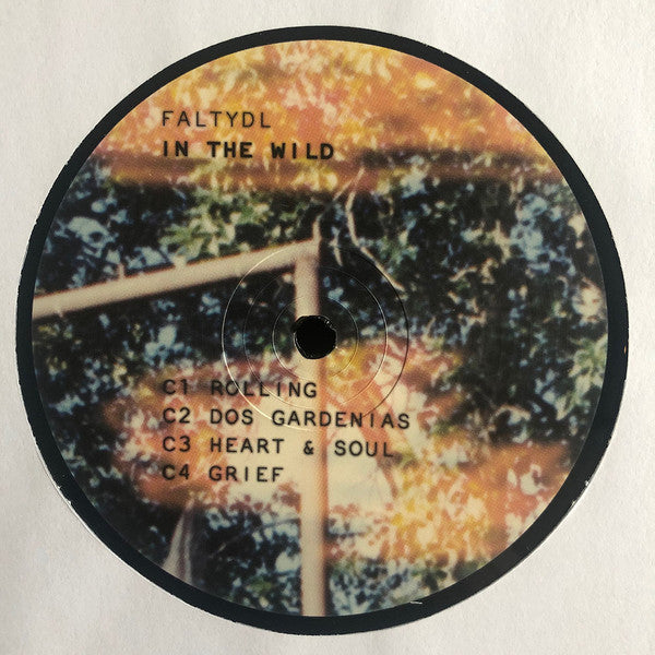 FaltyDL : In The Wild (2xLP, Album)