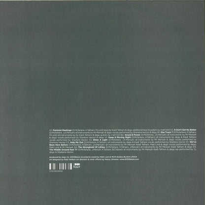 Dego : The More Things Stay The Same (2xLP, Album)