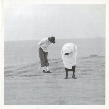 dip in the pool : 太陽のしっぽ - Rabo Del Sol (12")