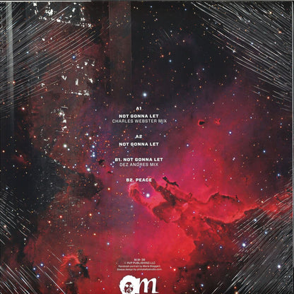 Paul Randolph : Not Gonna Let (Remixes) (12")